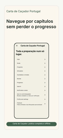 Estudo organizado